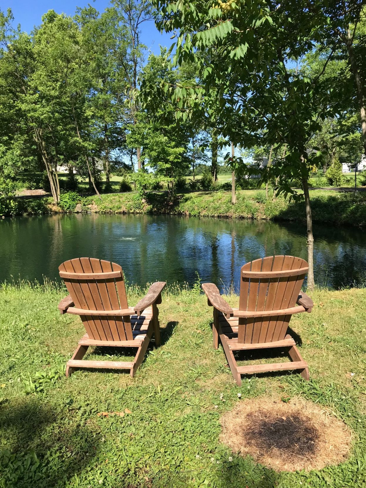 Lakefront at Tiny Estates